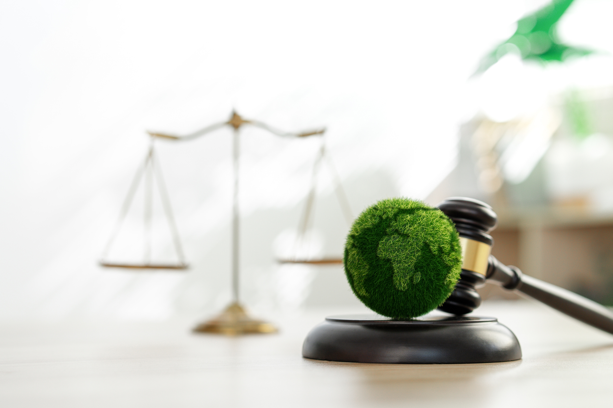 Environmental Law