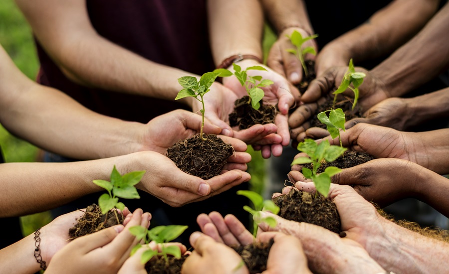 Sustainable Development