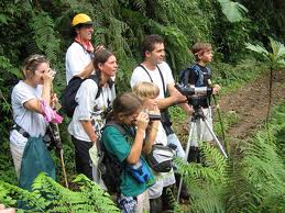 Sustainable Tourism and Ecotourism Management