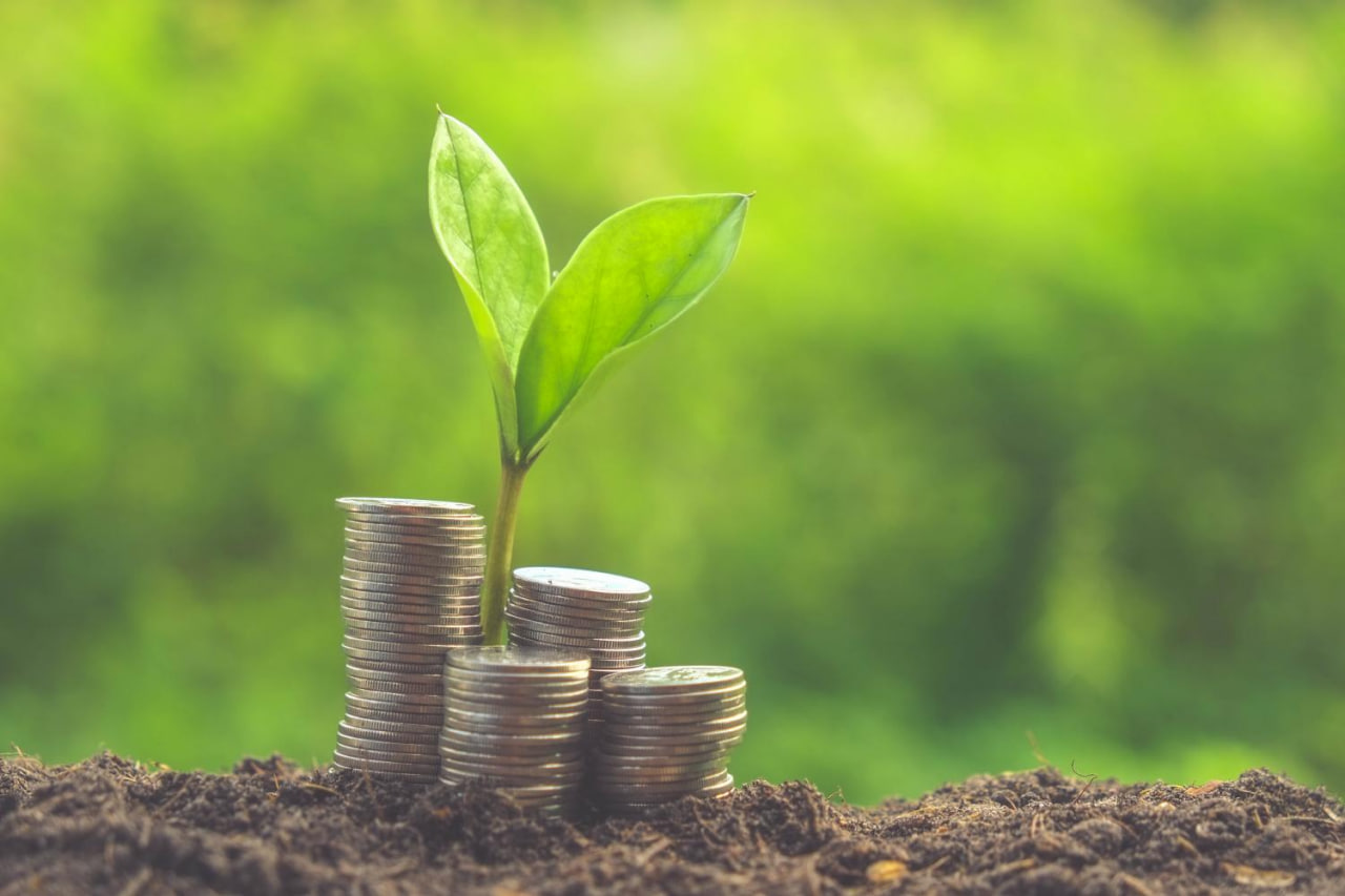 Sustainable Finance